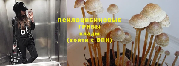 прущие крисы Алзамай