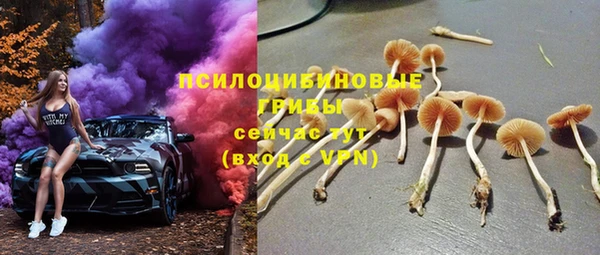 молекула духа Абинск