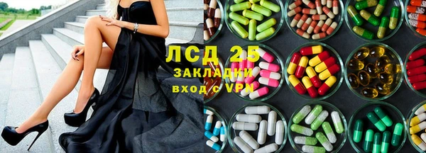 прущие крисы Алзамай