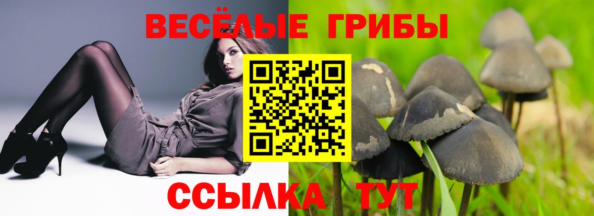 Псилоцибиновые грибы Psilocybine cubensis Назрань